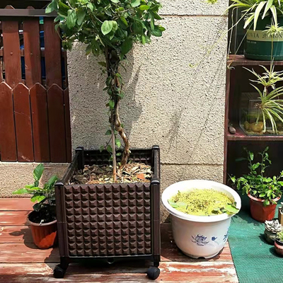 Odpływowa sadzarka na kółkach Patio Plastikowa prostokątna skrzynka do sadzenia Insect Proof