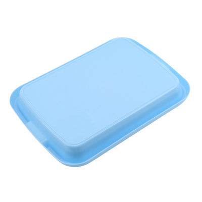Bogate odżywianie Seed Sprout Tray Plate Stabilizowany UV Dostosowany rozmiar