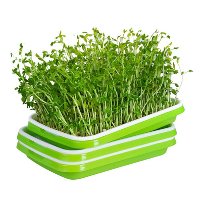 Recyklingowe tace do kiełkowania PP Microgreen z pokrywką do użytku w kuchni